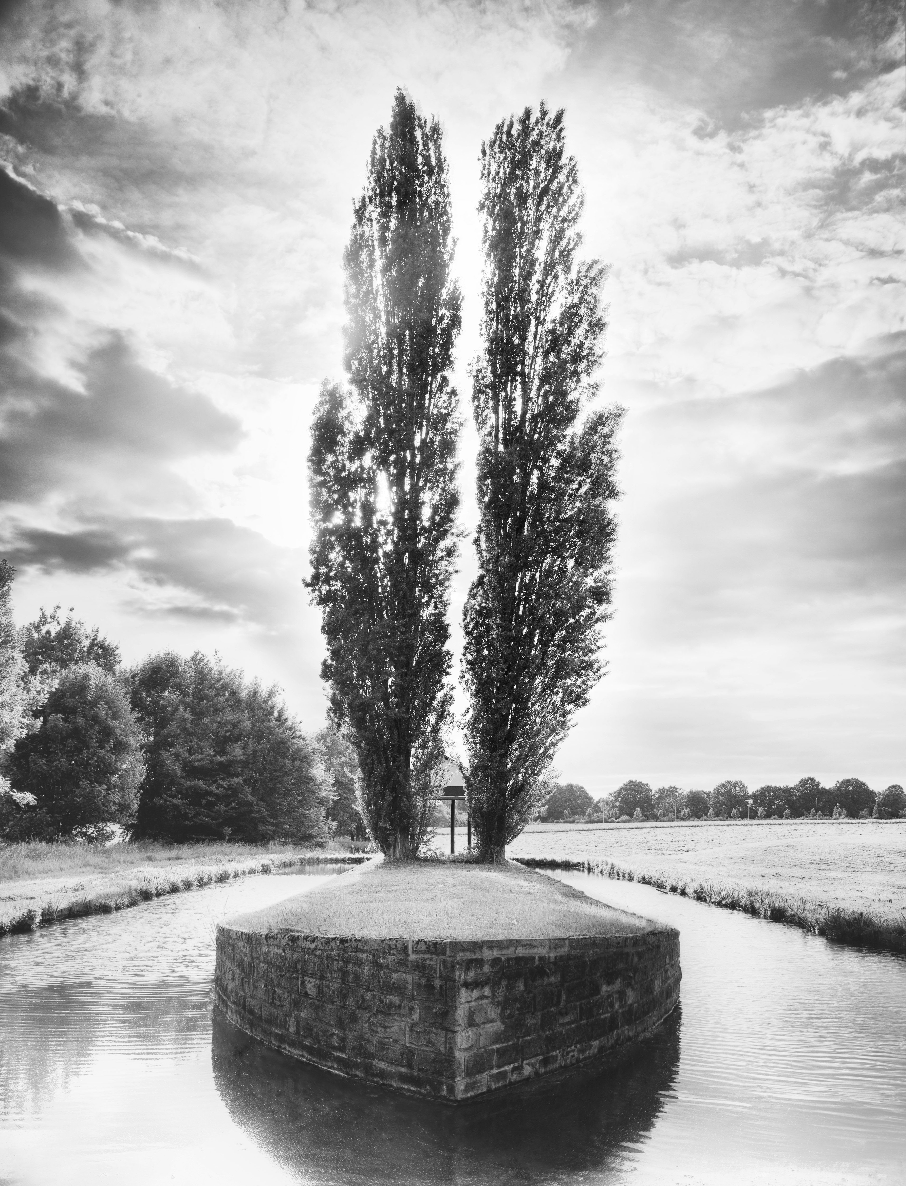 2ma_shiff_ms_um8a3159_